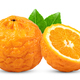 Tangerines isolated on white background - PhotoDune Item for Sale