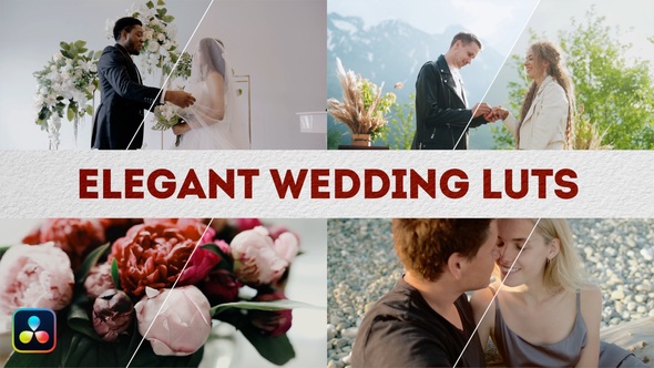 Elegant Wedding LUTs | DaVinci Resolve