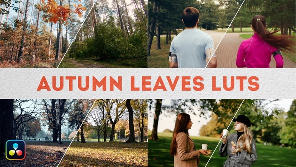 Autumn Leaves LUTs | DaVinci Resolve