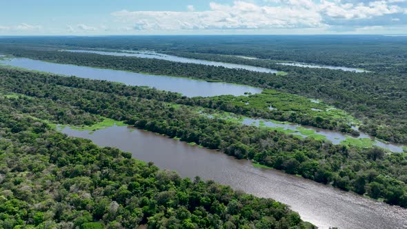 Stunning landscape of Amazon Forest at Amazonas State Brazil. alt