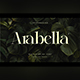 Arabella - Serif Display Font