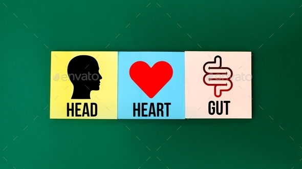 colored paper with icons and the words head, heart and gut. How to make conscious decisions.