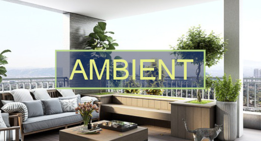 Ambient