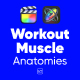 Workout Muscle Anatomies Pack For Final Cut Pro X - VideoHive Item for Sale