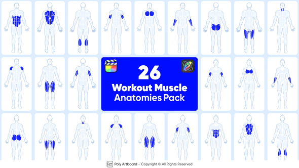 Workout Muscle Anatomies Pack For Final Cut Pro X