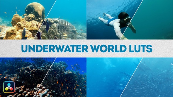 Underwater World LUTs | DaVinci Resolve