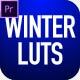 Winter Color LUTs - FX Preset Collection