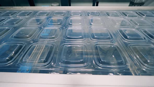 Plastic Container Lids Moving Along the Production Line alt