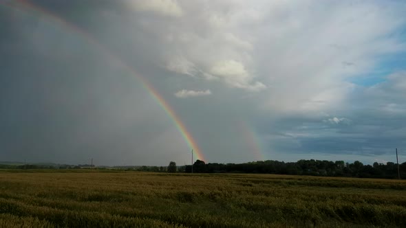  Ripe Crop Field After Rain and Colorfull Rainbow in Background Rural Countryside alt