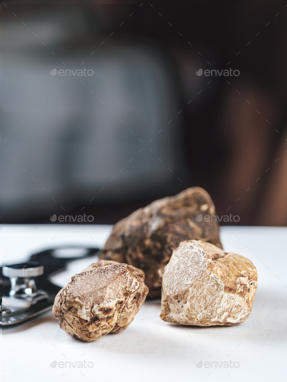 White truffles gourmet mushrooms Stock Photo by Fasci PhotoDune