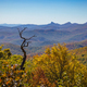 Fall Leaves in the Mountains - PhotoDune Item for Sale