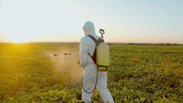 Spray Ecological Pesticide alt