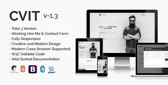 CVIT | Multipurpose Personal Portfolio / vCard / CV / Resume Template