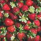 Fresh strawberry texture, wallpaper and background - PhotoDune Item for Sale