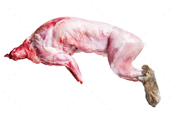 Raw Whole wild hare, fresh game meat on wooden board with herb. Isolated on white background.