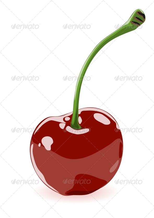 Vector illustration of a cherry - Food Objects