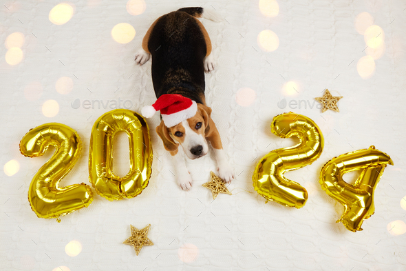 Happy new sales year beagle