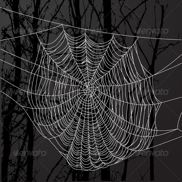 Spider Web And Tree - Organic Objects Objects