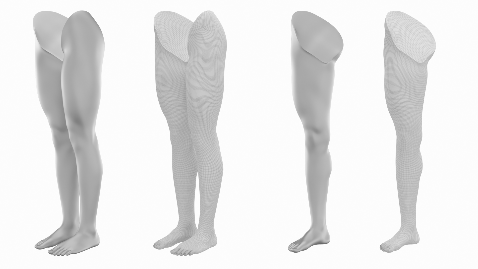 Female Legs Anatomical Base Mesh by valeriik | 3DOcean
