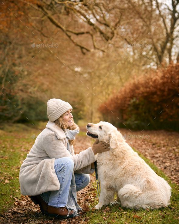 Countryside retrievers best sale