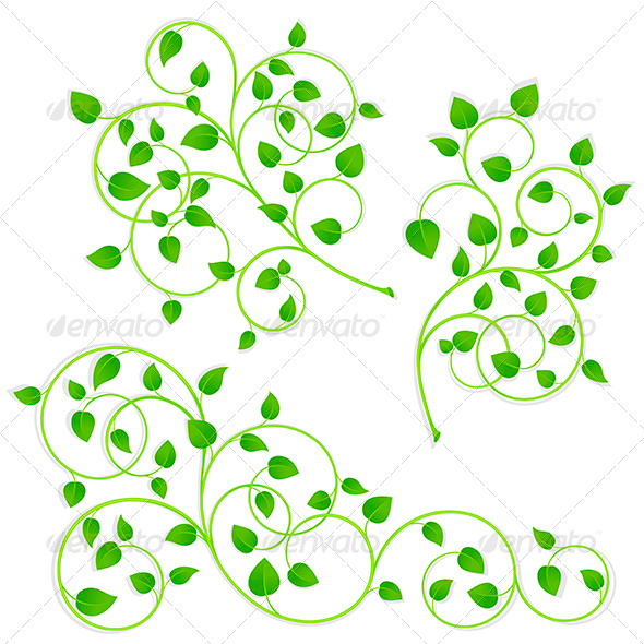 Collection of Green Branches - Flowers & Plants Nature