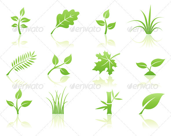 Eco Concept - Nature Conceptual