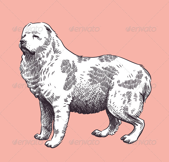 Dog Shepherd Caucasian Mid-Asian Vector - Animals Characters