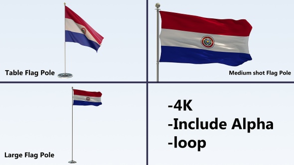 Paraguay Flag Pole Pack 4k-Loop alt