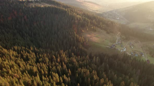 Flying Over Mountain Pine Forest Revealing Valley at Sunset