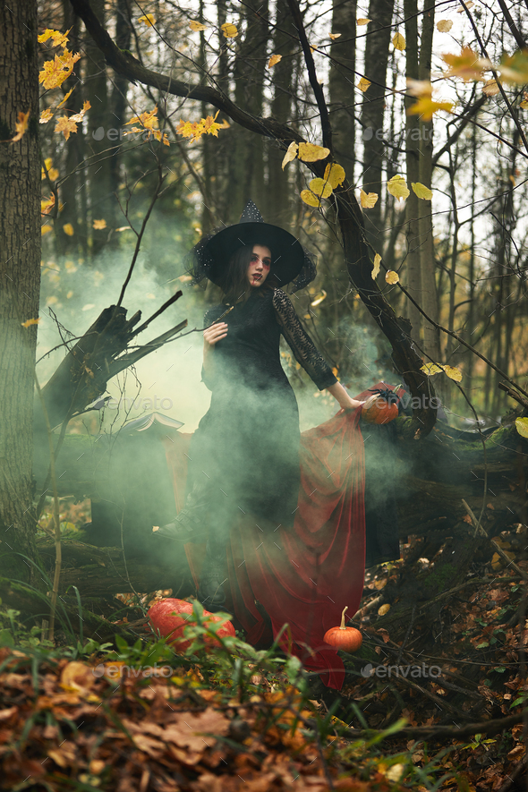 Nature Witch Dress