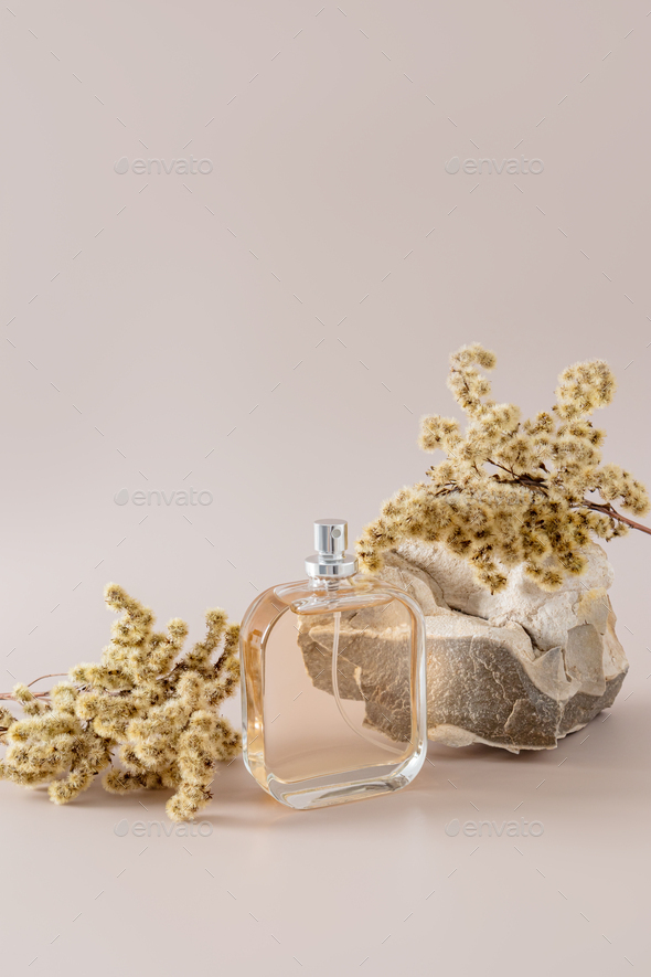 A chic bottle of women\'s or men\'s perfume, a cosmetic spray with a dry plant on a pastel background