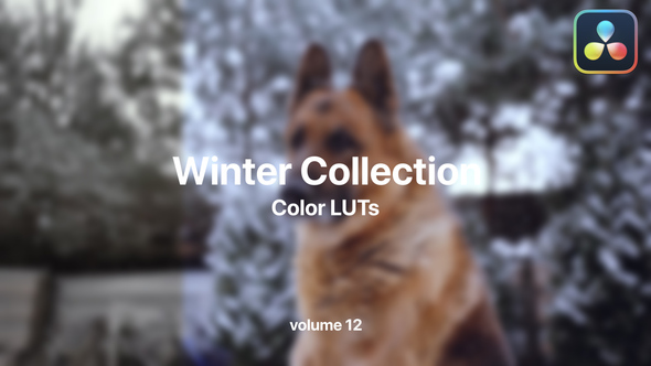 Winter LUTs Collection Vol. 12