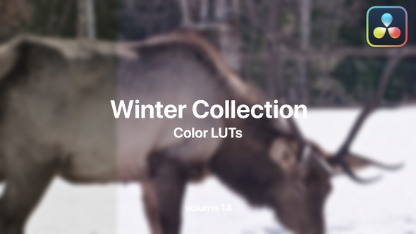 Winter LUTs Collection Vol. 14