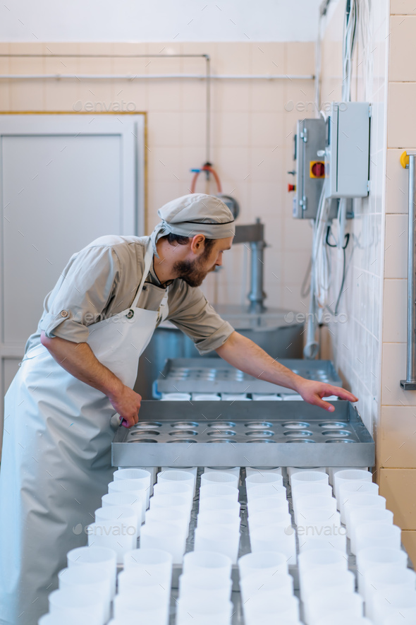 cheese maker in uniform makes cheese puts molds for pouring cheese production