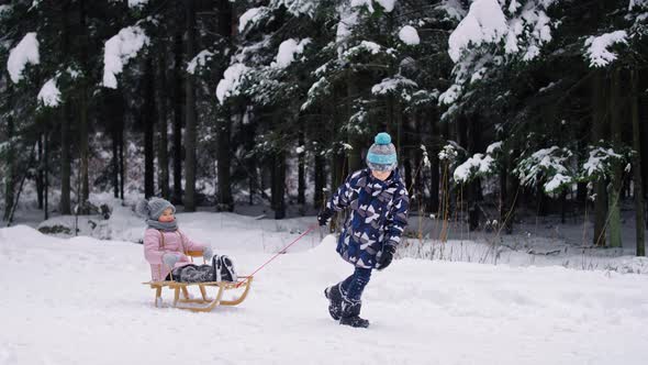 Video of brother pulling sledge with little sister in snow. Shot with RED helium camera in 8K. alt