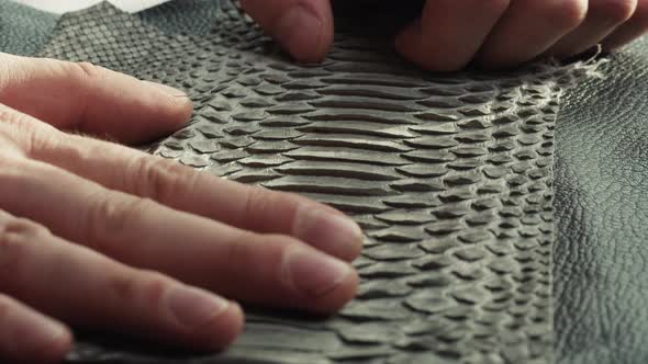 Touching Black Snake Leather with Hand Closeup Production Handmade Accessories Made of Genuine or alt