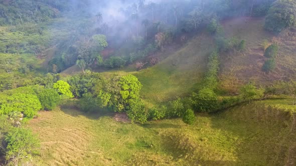 Aerial view smoking wildfire, in the tropical Jungles of Africa - tilt up, drone shot alt