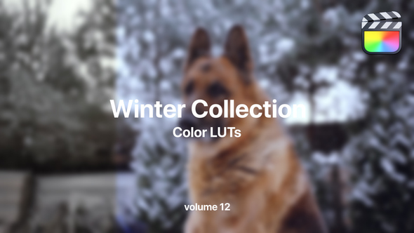 Winter LUTs Collection Vol. 12
