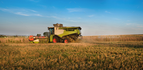 combine with harvester with a cloud of dust and stubble, side perspective