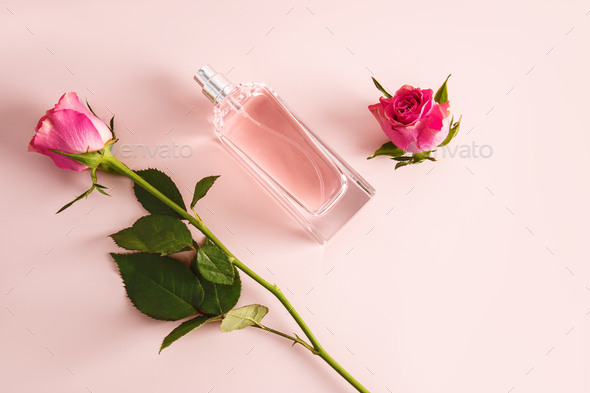 Elegant bottle of women\'s perfume or cosmetic spray on pink background with tea cut rose. Top view.