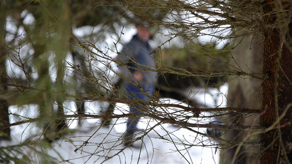 Man In Winter Forest 2