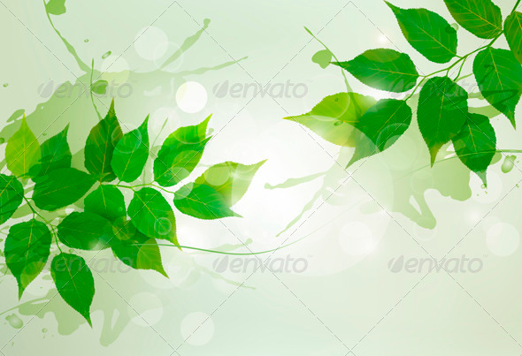 Nature Background with Green Spring Leaves - Flowers & Plants Nature