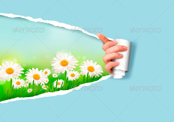 Nature Background with Flowers and Ripped Paper - Flowers & Plants Nature
