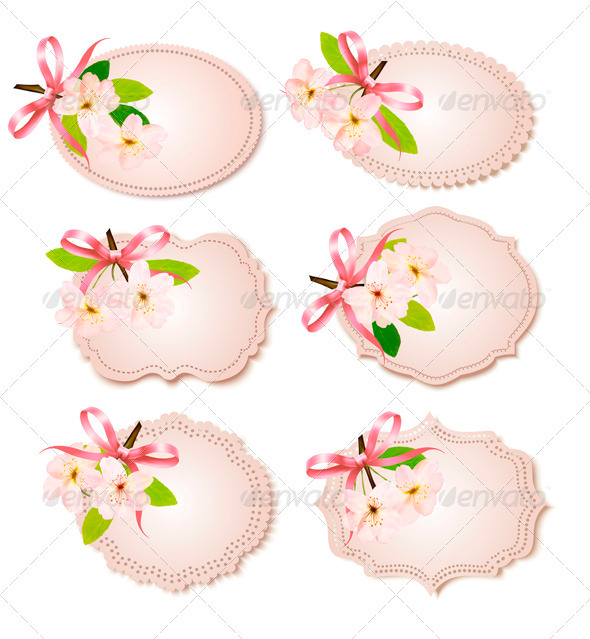 Gift Cards with Blossoming Tree Branch - Borders Decorative