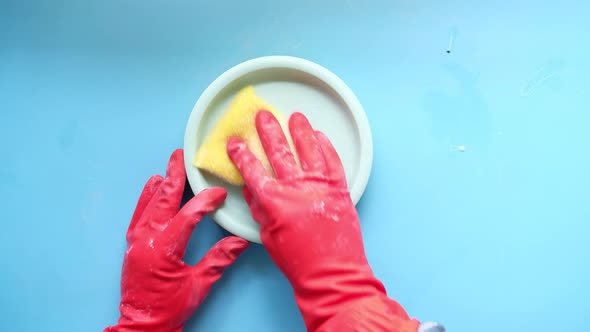 Sponge  Rubber Gloves and Colorful Plate on Blue alt