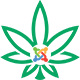 Preview icon