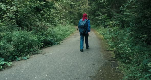 Male Hiker Walks Through the Forest on an Asphalt Road