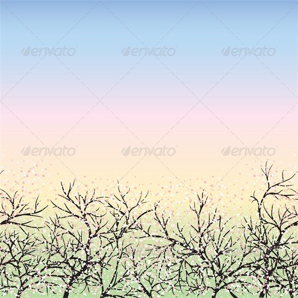 Blooming trees and blue sky, dawn - Seasons Nature