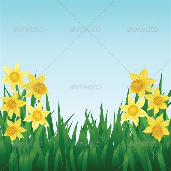 Spring Background with Daffodils and Grass - Flowers & Plants Nature