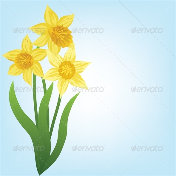 Spring Background with Daffodils and Grass - Flowers & Plants Nature